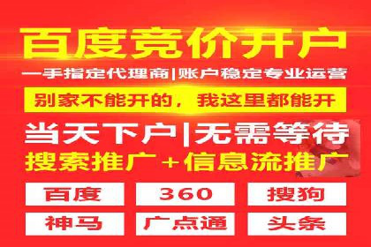 竞价广告的深度解析：以一知名品牌为例